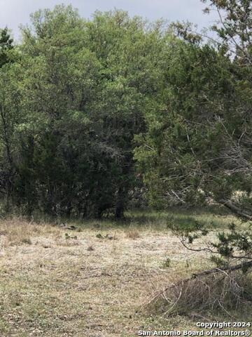 40 Whitetail Run Property Photo 3