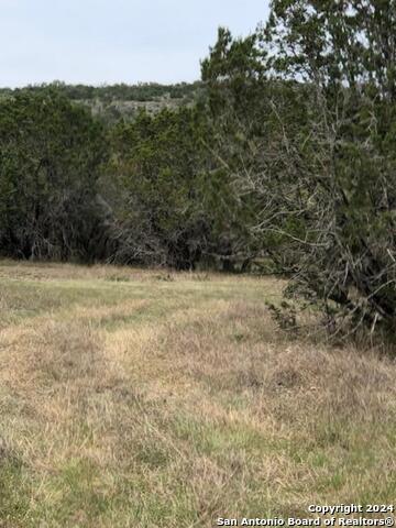 40 Whitetail Run Property Photo 5
