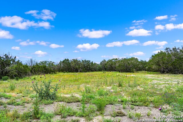 195 & 200 Countless Views Dr. Property Photo 10