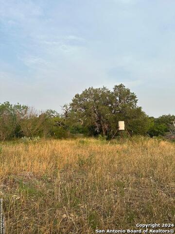 7507 New Sulphur Springs Property Photo 6