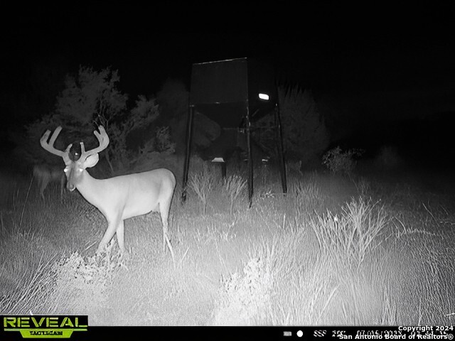 7507 New Sulphur Springs Property Photo 7