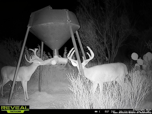 7507 New Sulphur Springs Property Photo 8