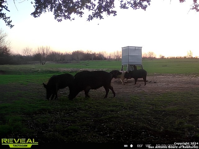 7507 New Sulphur Springs Property Photo 10