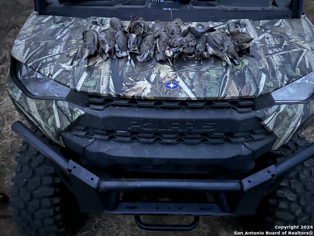 7507 New Sulphur Springs Property Photo 12