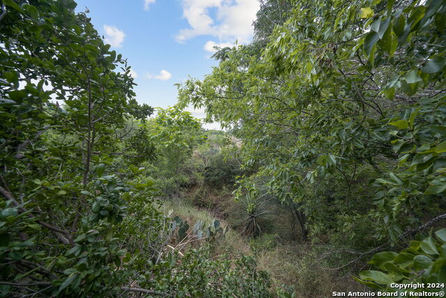 7507 New Sulphur Springs Property Photo 22