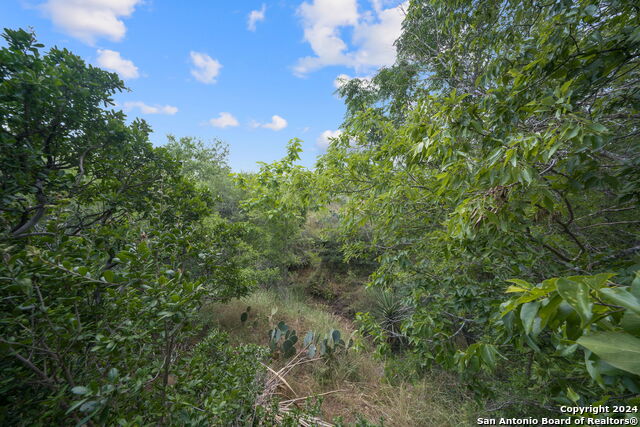 7507 New Sulphur Springs Property Photo 23