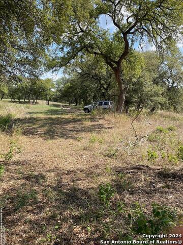 1409 Lavaca Property Photo 8