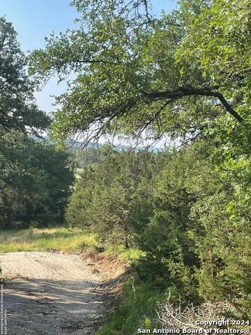1409 Lavaca Property Photo 9