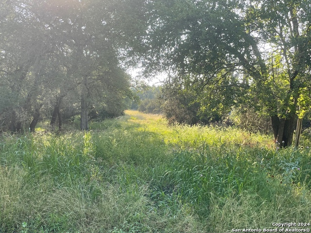 1409 Lavaca Property Photo 11