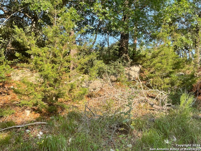 1409 Lavaca Property Photo 14