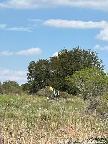 12266 Fm 476 Property Photo 1