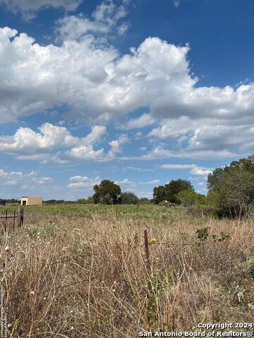 12266 Fm 476 Property Photo 2