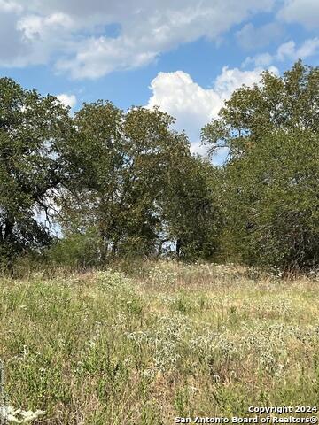 12266 Fm 476 Property Photo 6