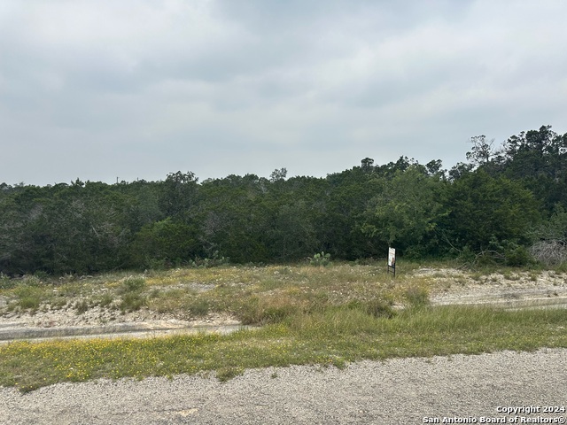 223 Freedom St Property Photo 6