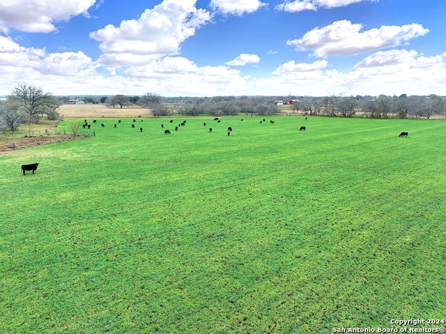 Tbd County Road 342 Property Photo 2