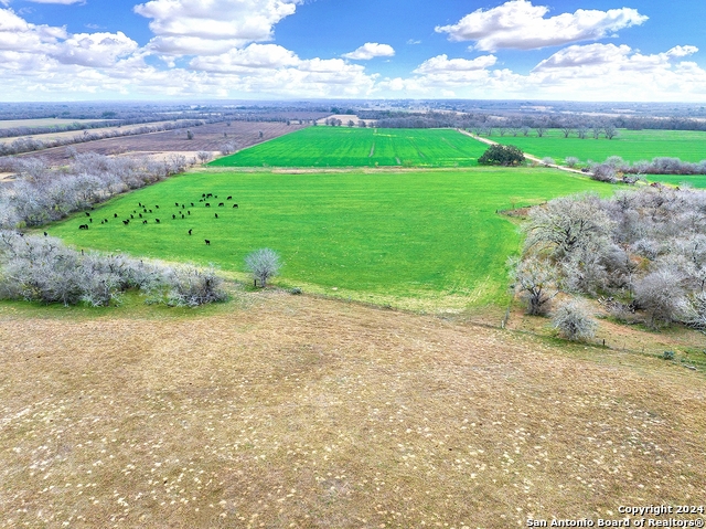 74.84 Tbd Acres County Road 342 Property Photo 1