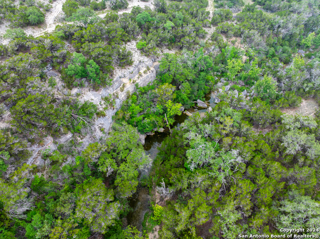 11.8± Ac Clearwater Creek Property Photo 2