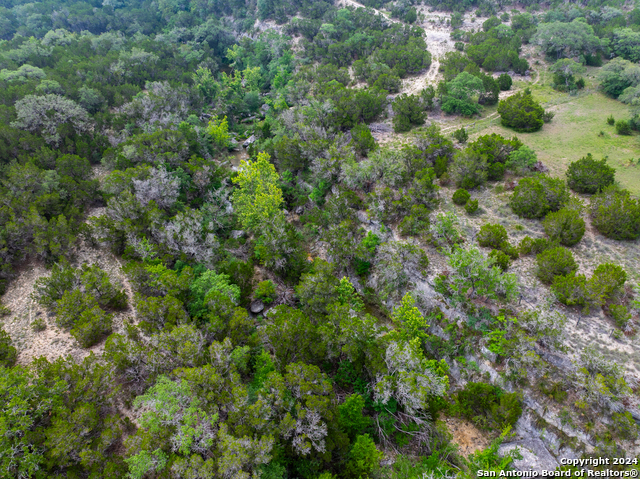 11.8± Ac Clearwater Creek Property Photo 6