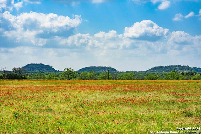 5248 Lower Crabapple Property Photo 6
