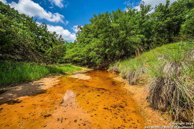 5248 Lower Crabapple Property Photo 7