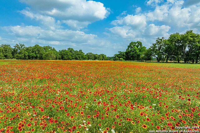 5248 Lower Crabapple Property Photo 8