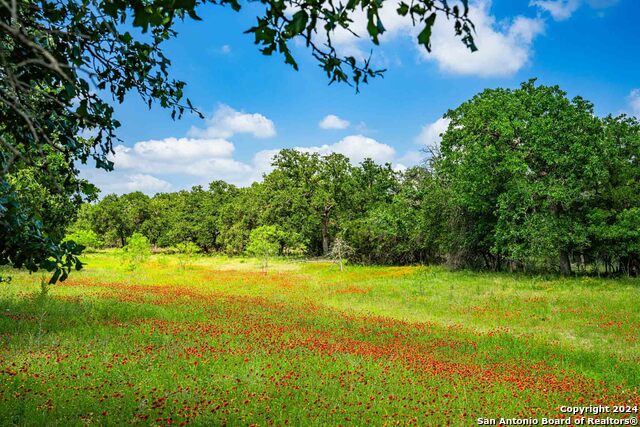5248 Lower Crabapple Property Photo 9