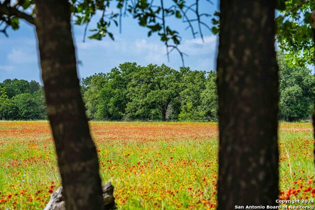 5248 Lower Crabapple Property Photo 12