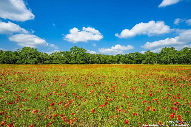 5248 Lower Crabapple Property Photo 13