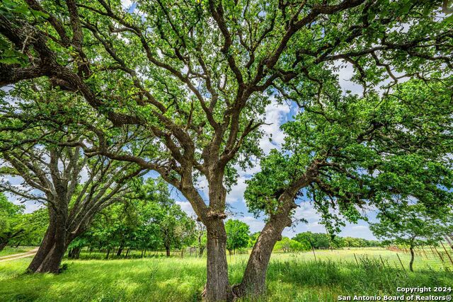 5248 Lower Crabapple Property Photo 36