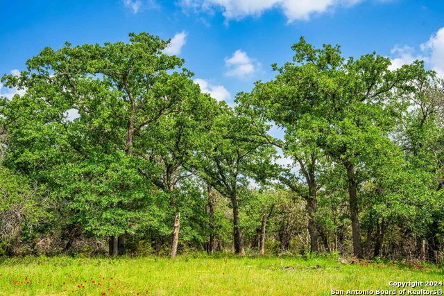 5248 Lower Crabapple Property Photo 39