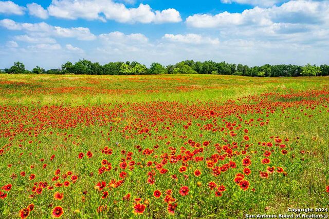 5248 Lower Crabapple Property Photo 45