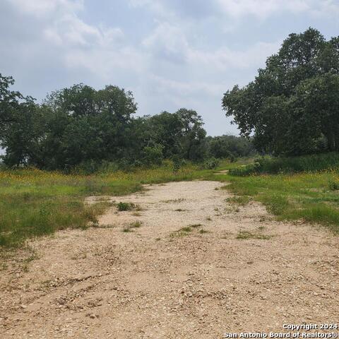 23302 Us Highway 281 S Property Photo 5