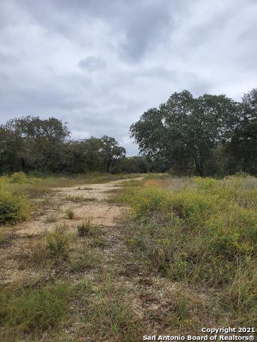 23302 Us Highway 281 S Property Photo 7