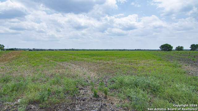 3850 Fm 2623 Property Photo 18