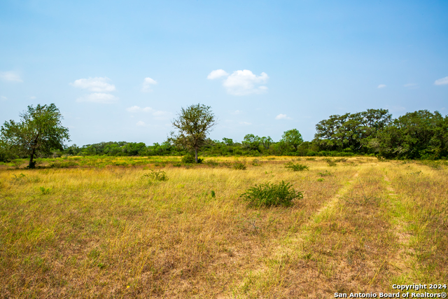 3698 Viggo Rd Property Photo 10
