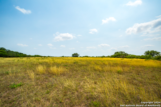 3698 Viggo Rd Property Photo 11
