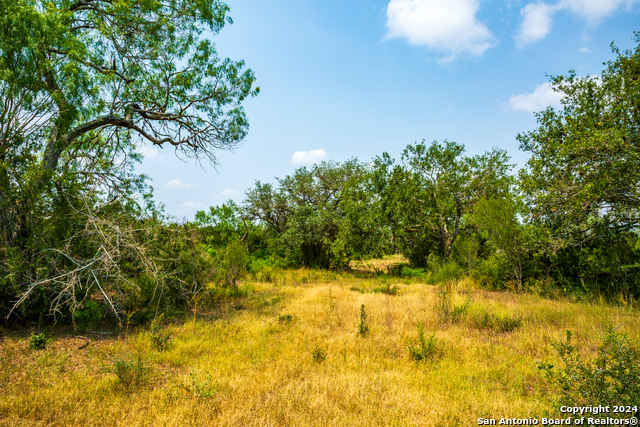 3698 Viggo Rd Property Photo 12