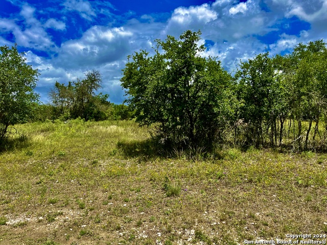 LOT 11 Enchanted River Dr. Property Photo 1