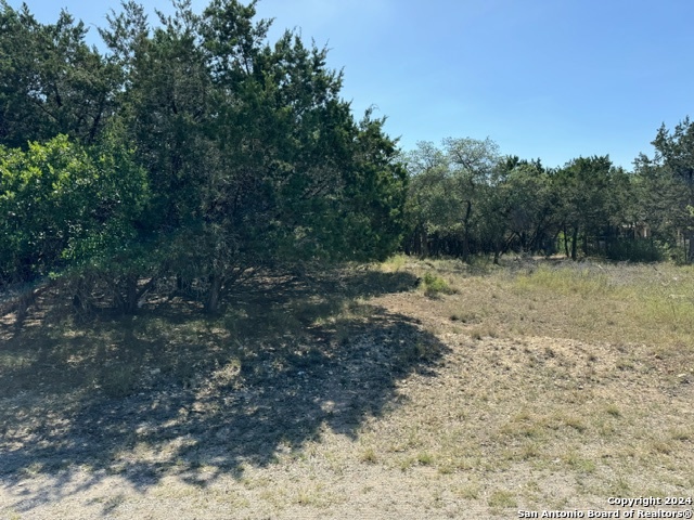 LOT 19 Deer Oaks Drive Property Photo 1
