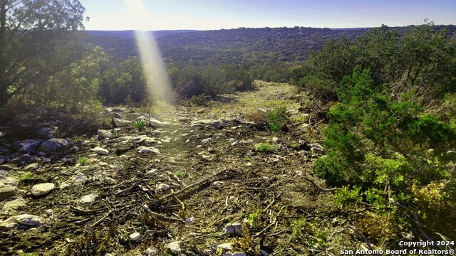 03 Turkey Creek Ranch Property Photo 8