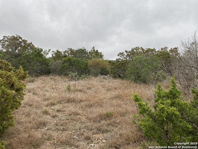 1595 Rim Rock Rd Property Photo 2