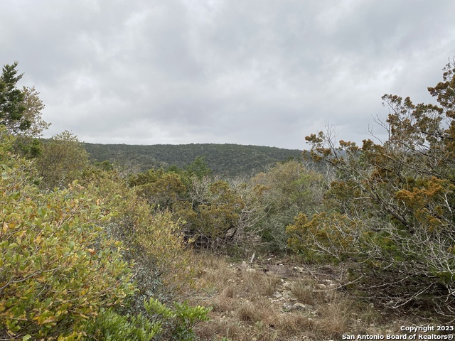 1595 Rim Rock Rd Property Photo 3