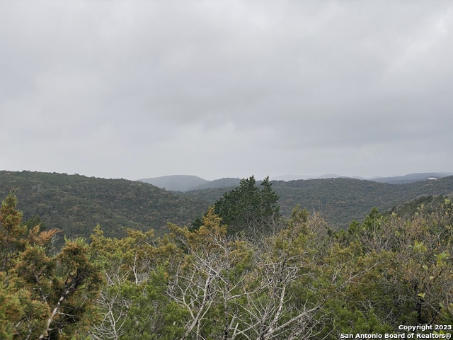 1595 Rim Rock Rd Property Photo 4