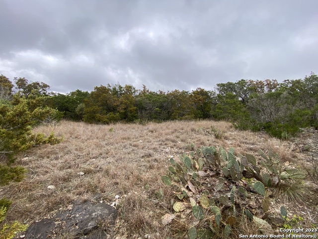 1595 Rim Rock Rd Property Photo 7