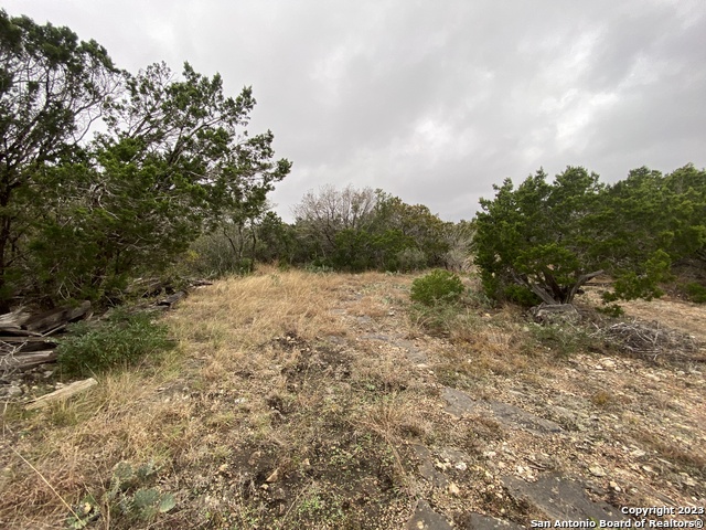 1595 Rim Rock Rd Property Photo 8