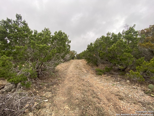 1595 Rim Rock Rd Property Photo 9