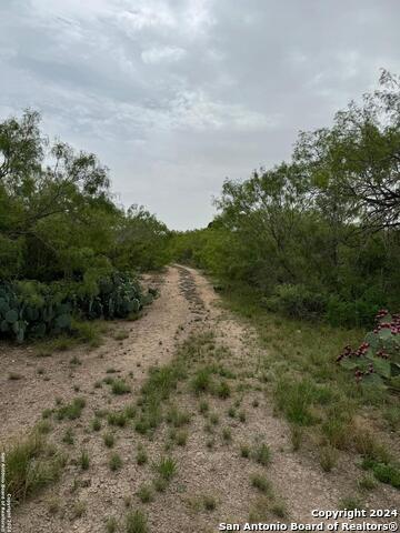 3668 W Us Highway 90 Property Photo 19