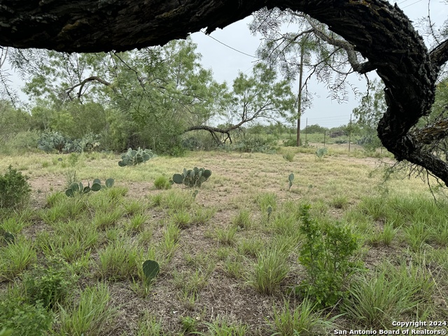 3668 W Us Highway 90 Property Photo 23