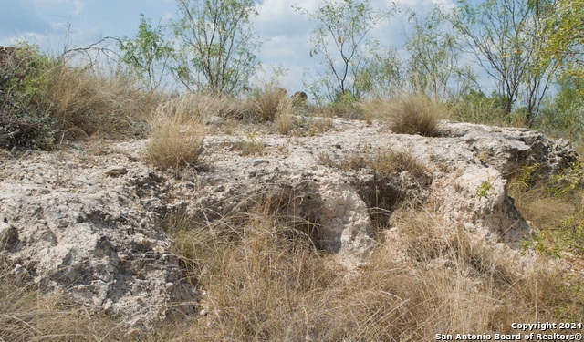 3668 W Us Highway 90 Property Photo 24