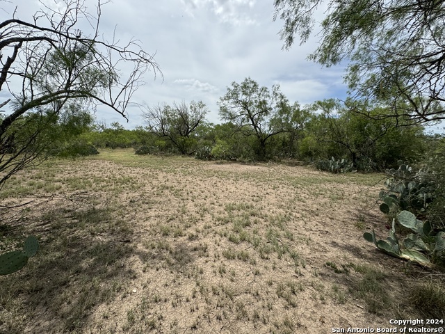 3668 W Us Highway 90 Property Photo 25